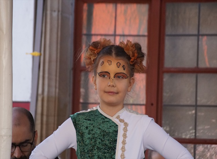 DSC08582